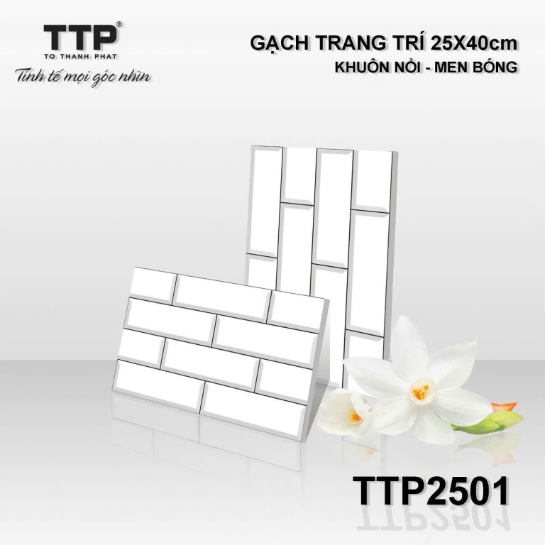 TTP - TTP2501