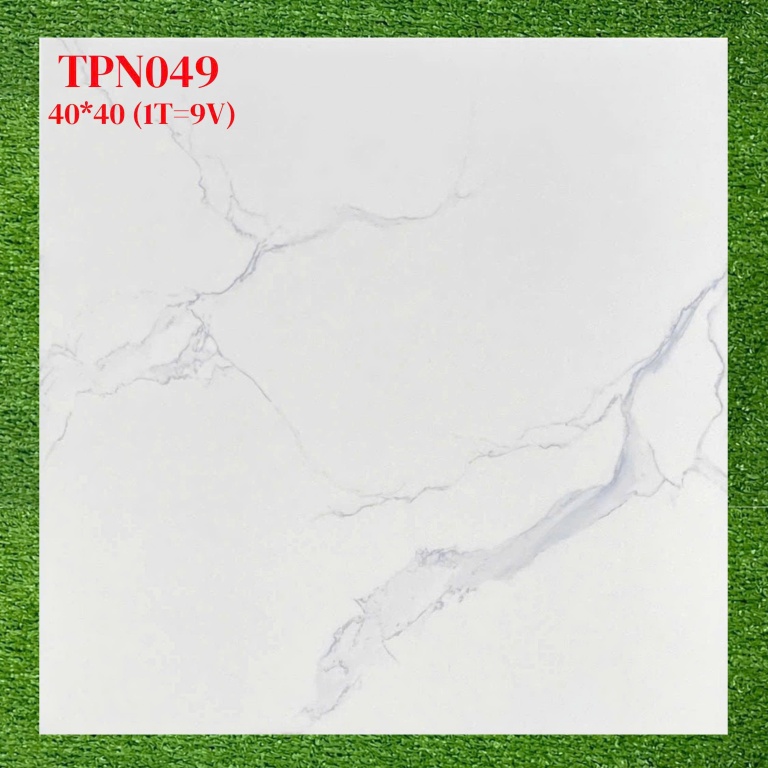 Trung Nguyên - TPN049