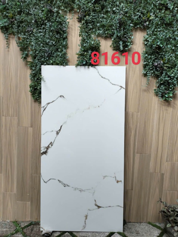 Gạch Ấn Độ - 81610