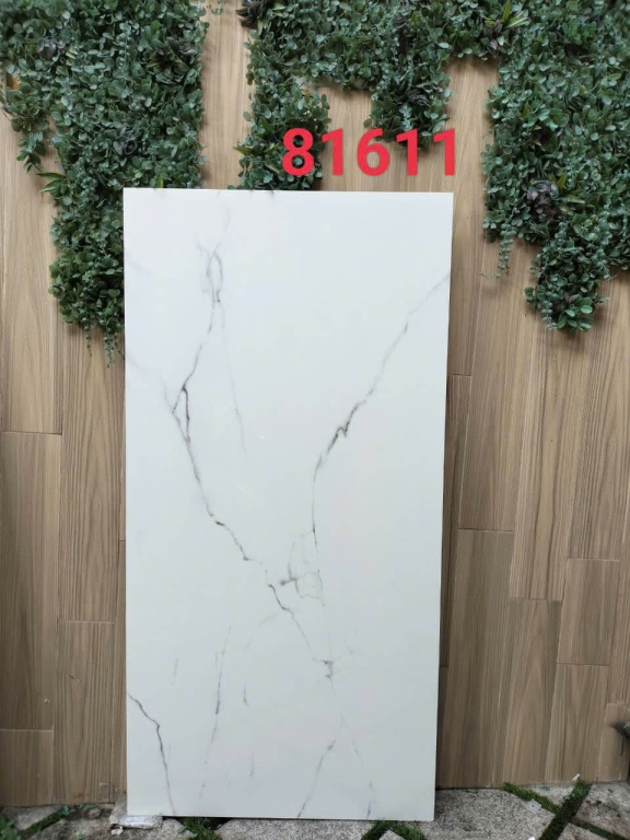 Gạch Ấn Độ - 81611