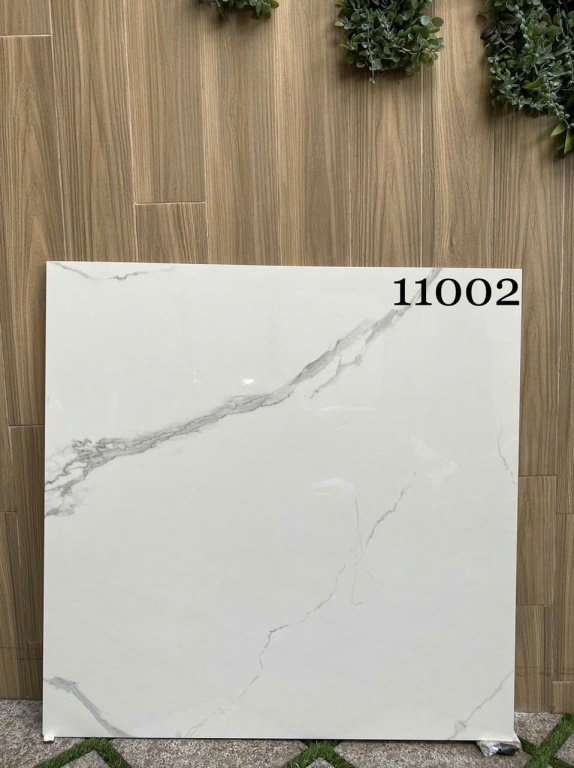 Gạch Ấn Độ - 11002