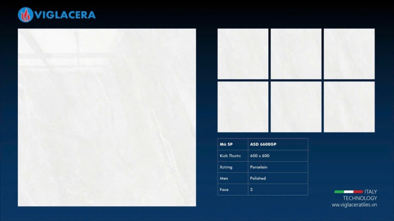 Viglacera - ASD 6608GP