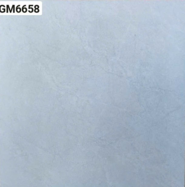 Viglacera - GM6658