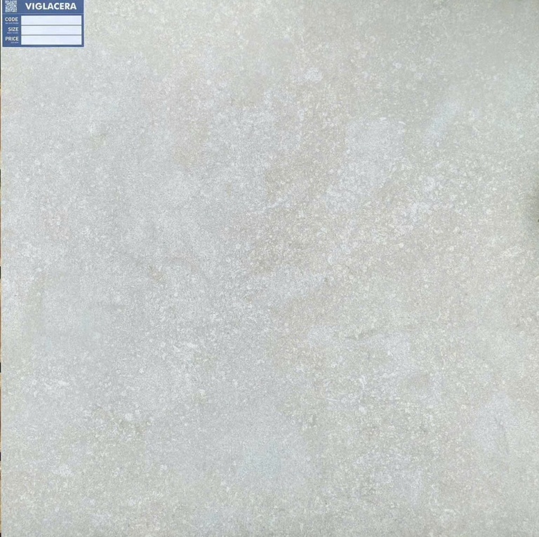 Viglacera - ASD6644SM