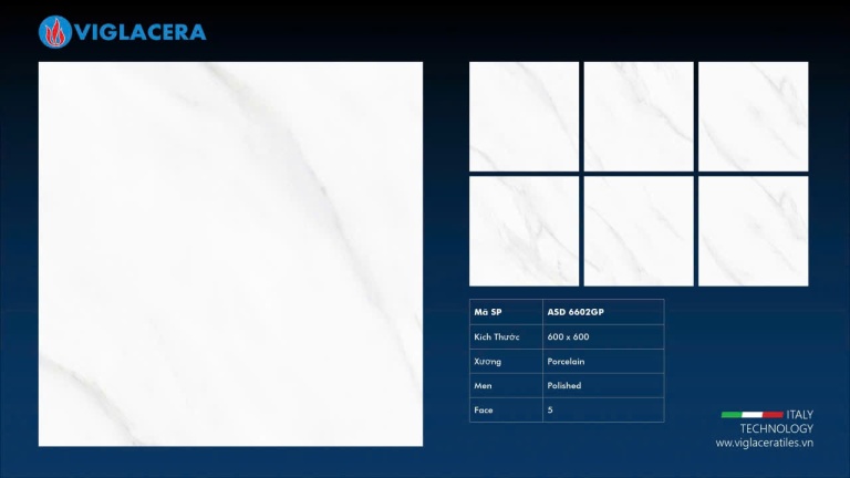 Viglacera - ASD6602GP