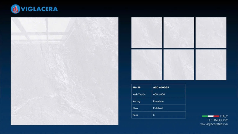 Viglacera - ASD6605GP