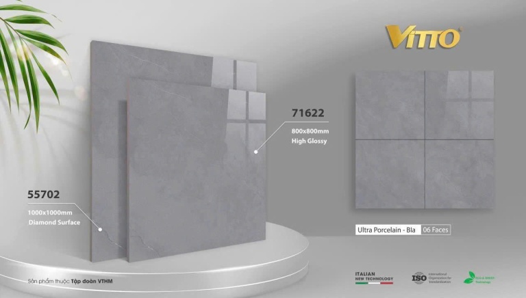 Vitto - 71622 - 55702