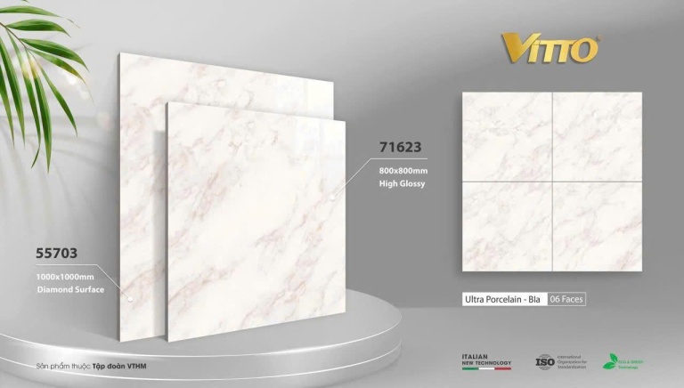 Vitto - 71623 - 55703