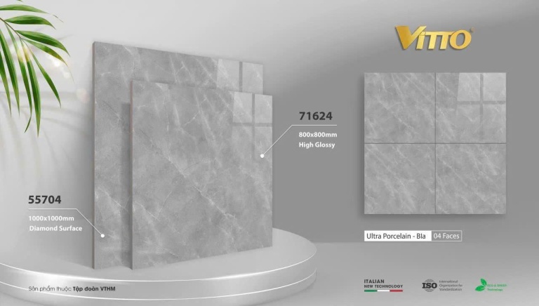 Vitto - 71624 - 55704