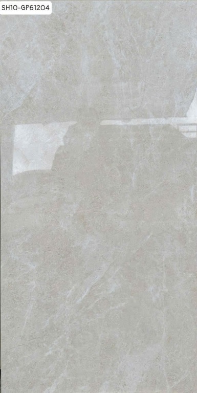Viglacera - SH10-GP61204