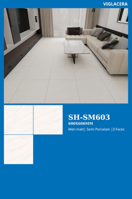 Viglacera - SH-SM603