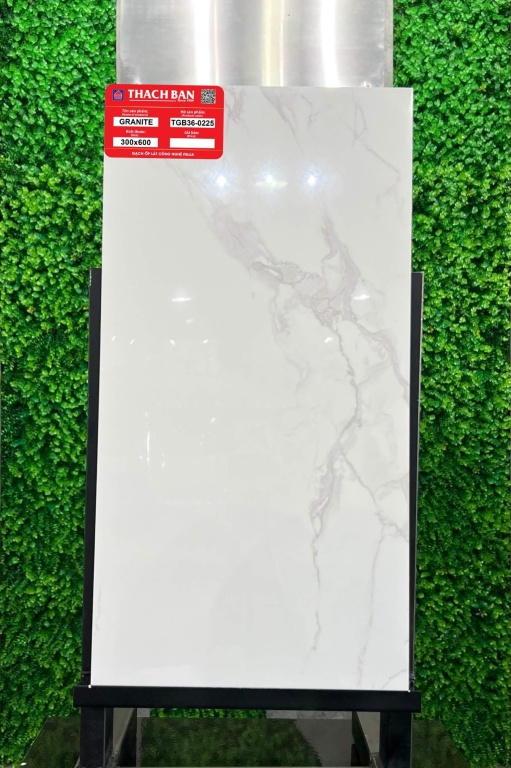 Thạch Bàn - TGB36-0225