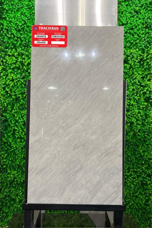 Thạch Bàn - TGB36-0227