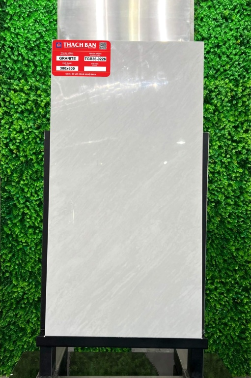 Thạch Bàn - TGB36-0226
