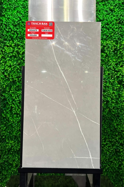 Thạch Bàn - TGB36-0232
