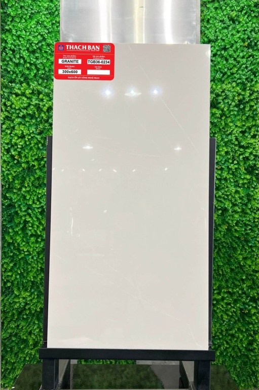 Thạch Bàn - TGB36-0234