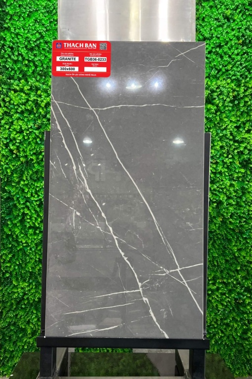 Thạch Bàn - TGB36-0233