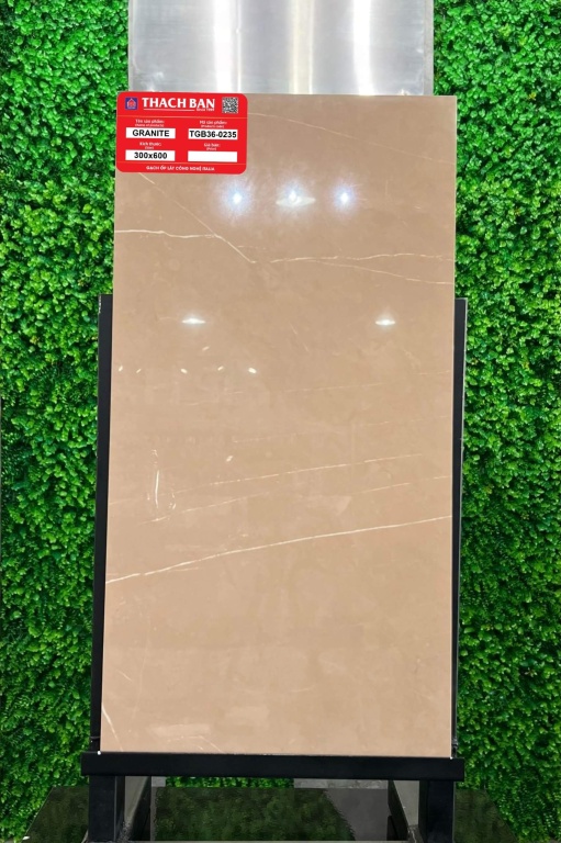 Thạch Bàn - TGB36-0235