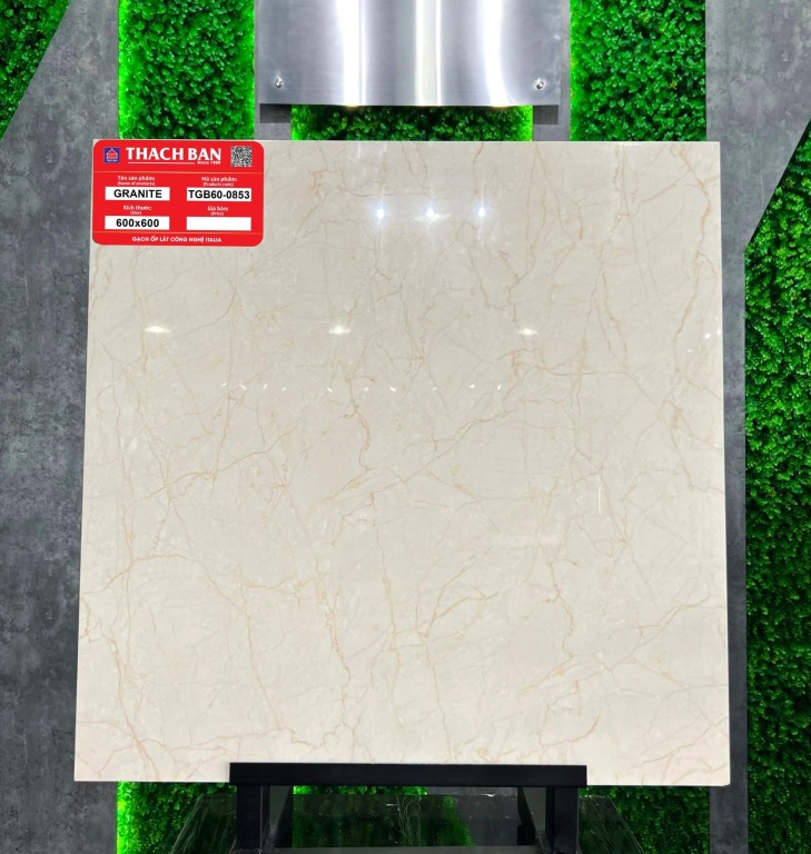 Thạch Bàn - TGB60-0853