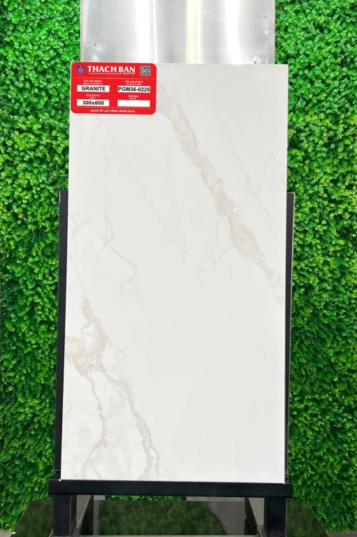 Thạch Bàn - PGM36-0225