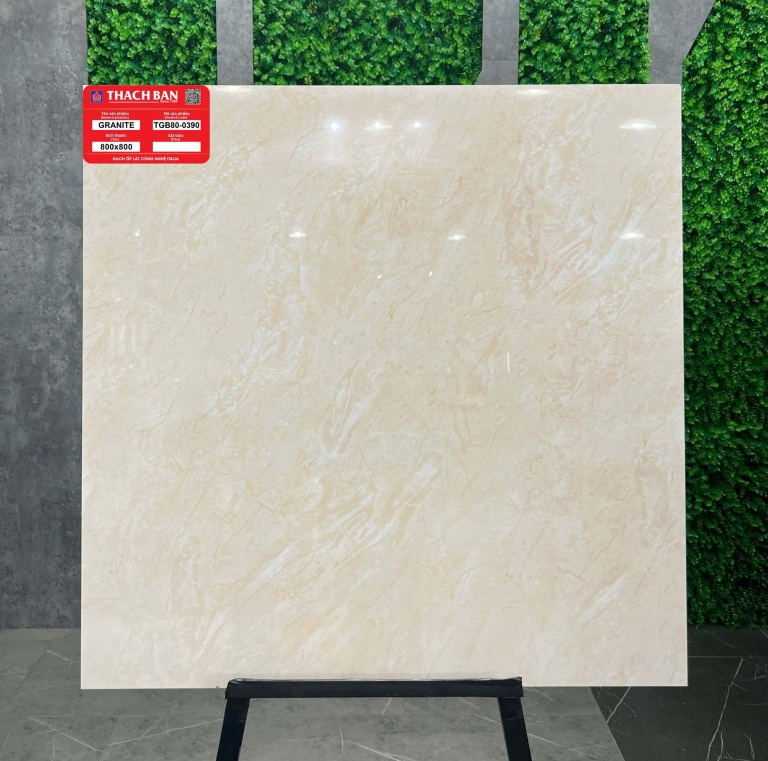 Thạch Bàn - TGB80-0390