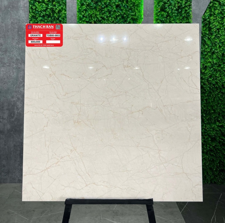 Thạch Bàn - TGB80-0853